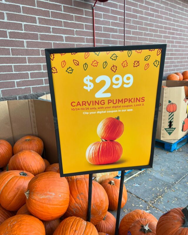 #pumpkins #denvercolorado  #davidnsteve